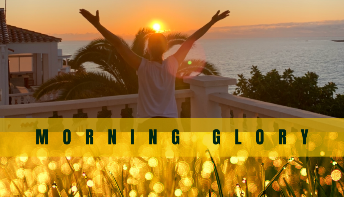 MORNING GLORY MORNING GLORY